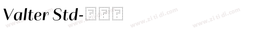 Valter Std字体转换